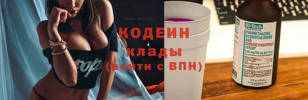 тгк Нея