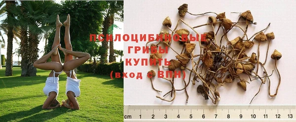 MESCALINE Галич