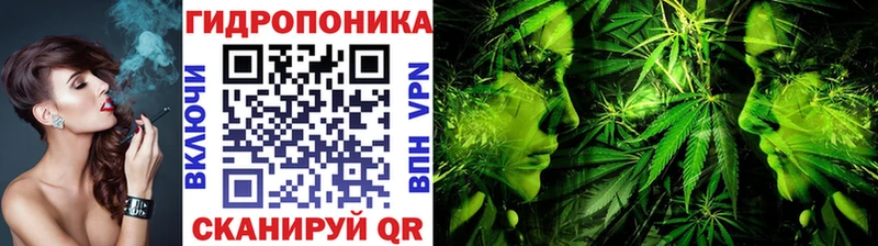 Купить закладки  Жирновск  Каннабис White Widow 